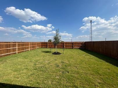 235 Frogmore Loop Kyle, TX 78640 - Photo 12 of 12