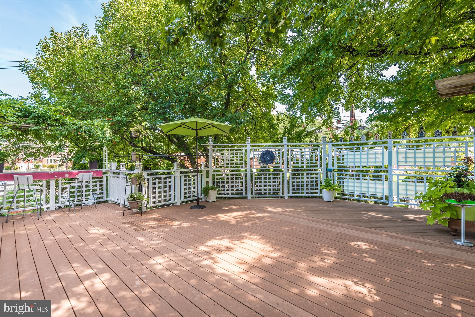 901 Gabel Street Silver Spring, MD 20901 - Photo 22 of 30 Custom Deck for Great Entertaining