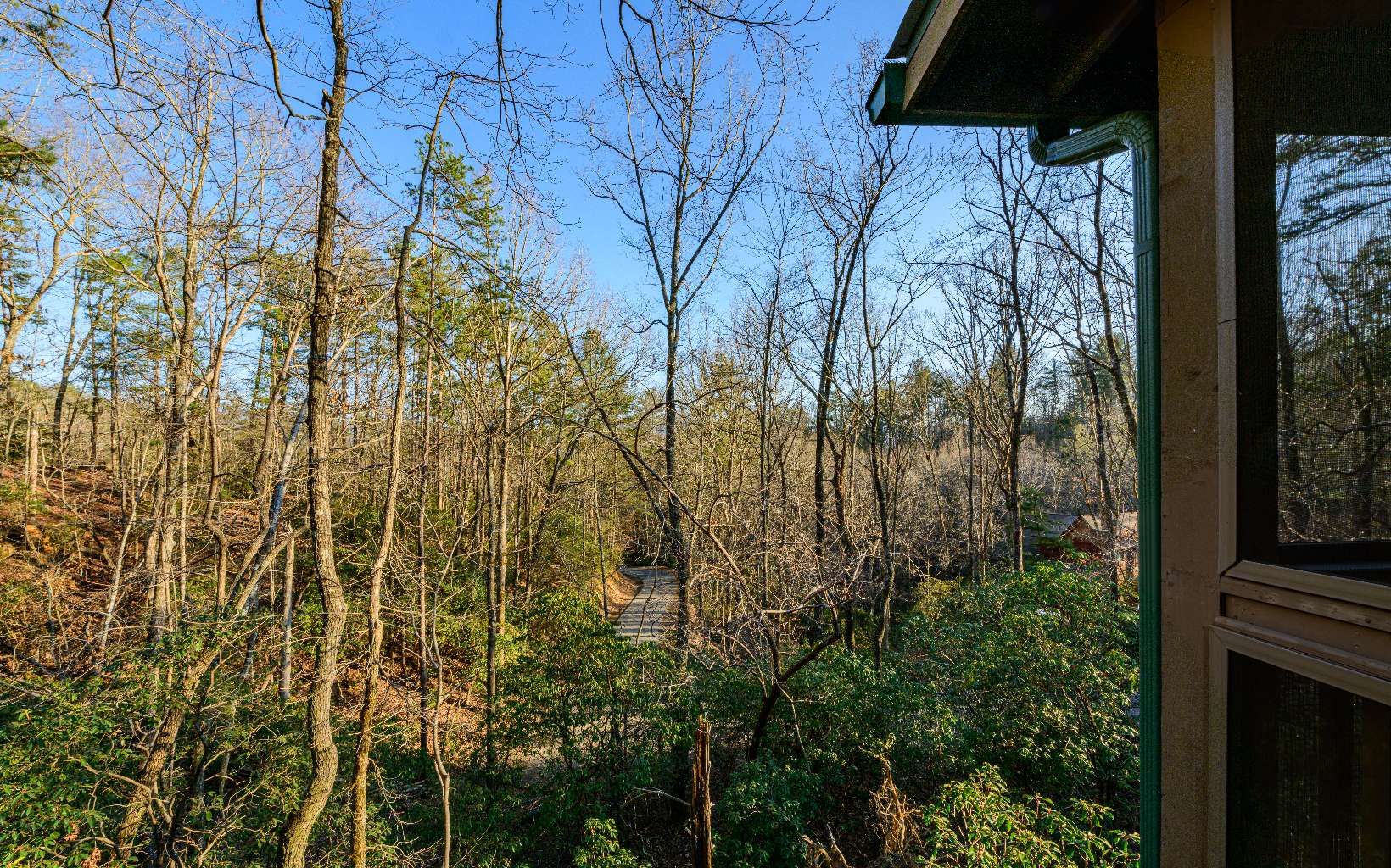 348 Cherry Lake Drive Blue Ridge, GA 30513 - Photo 3 of 4 Additional View