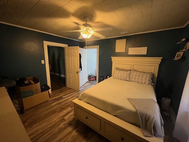 5663 Highway 252 Donalds, SC 29638 - Photo 6 of 11