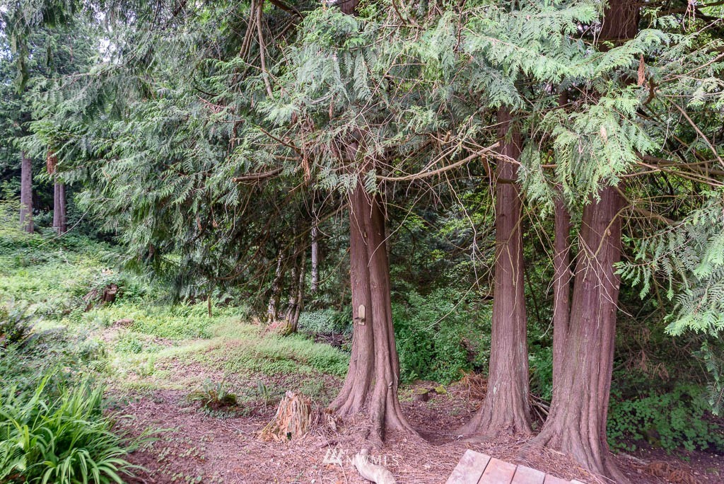 3818 Ridge Way Mount Vernon, WA 98273 - Photo 23 of 25 Gallery Image 23