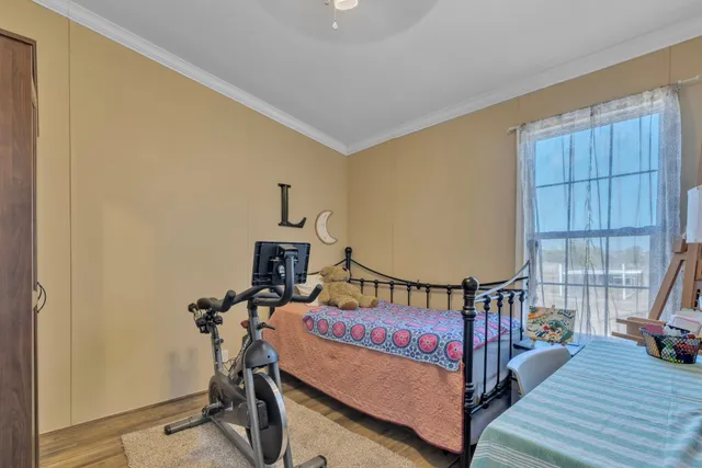 a bedroom with furniture and a window