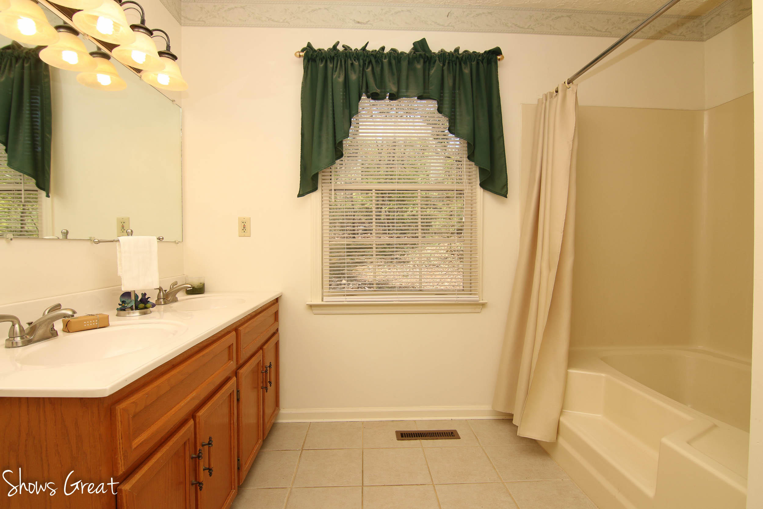 571 Scalybark Drive Blue Ridge, VA 24064 - Photo 15 of 43 Master Bath