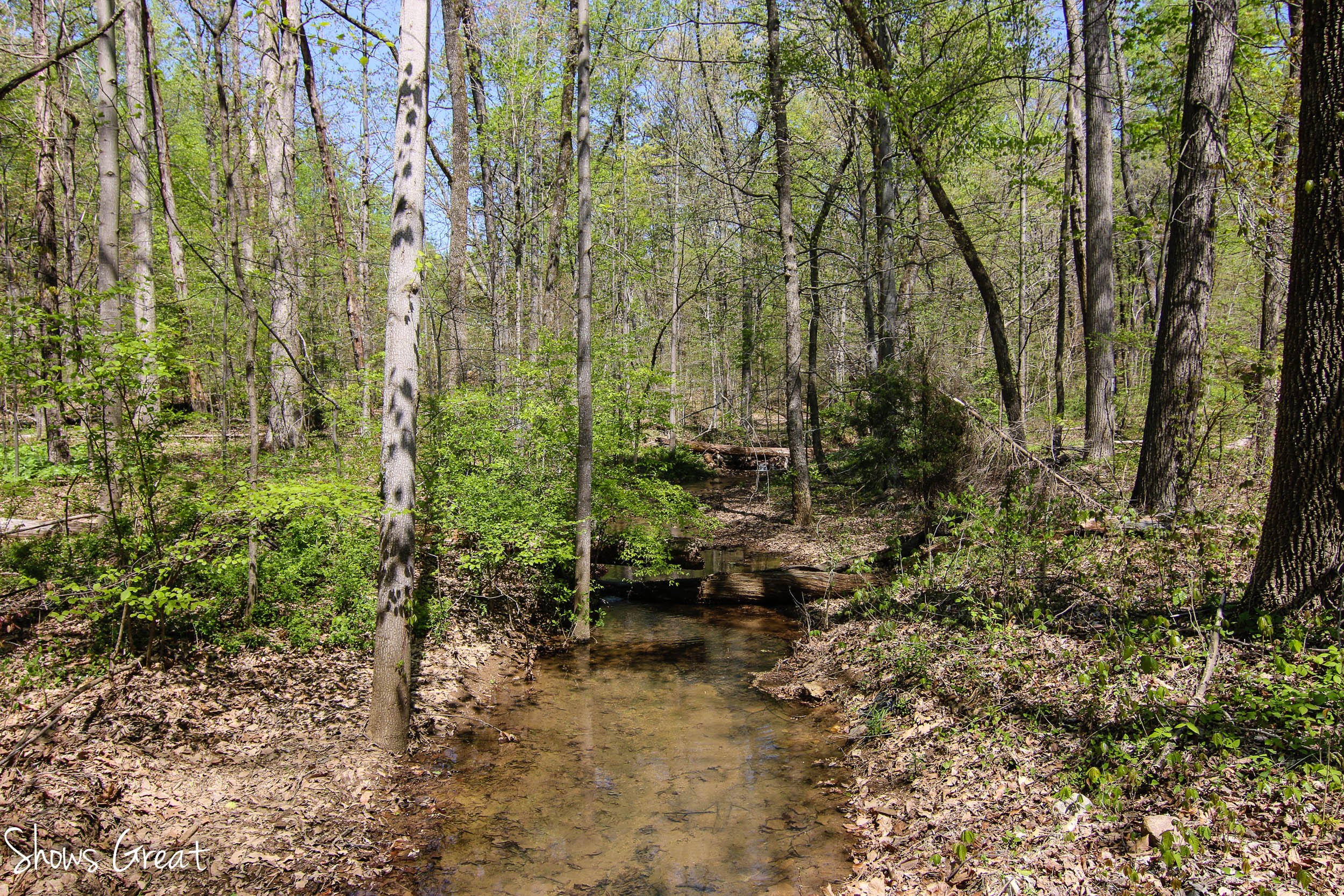 571 Scalybark Drive Blue Ridge, VA 24064 - Photo 4 of 43 Bold Stream!
