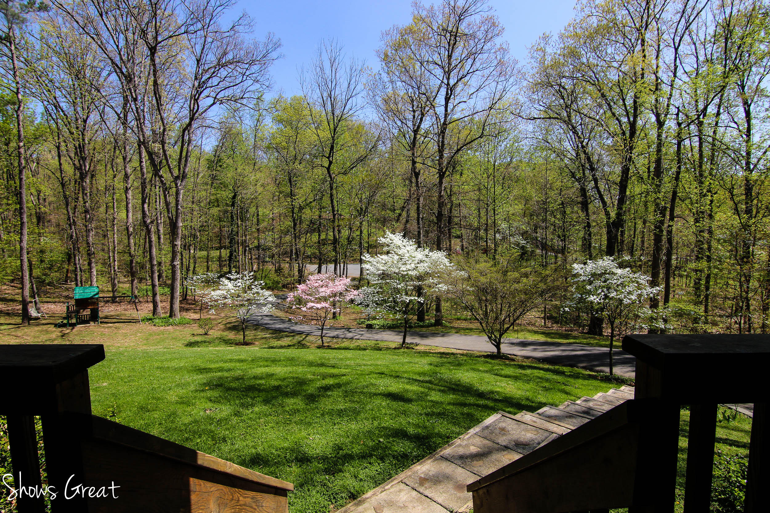 571 Scalybark Drive Blue Ridge, VA 24064 - Photo 29 of 43 Park-like setting