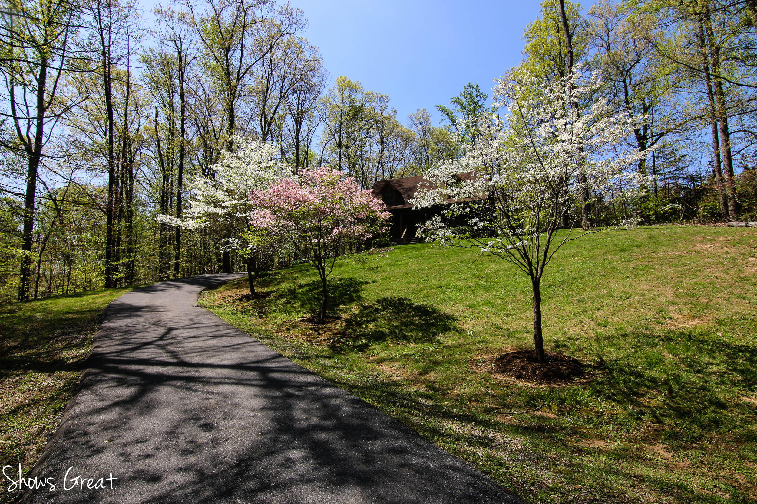 571 Scalybark Drive Blue Ridge, VA 24064 - Photo 35 of 43 Surrounded by nature!