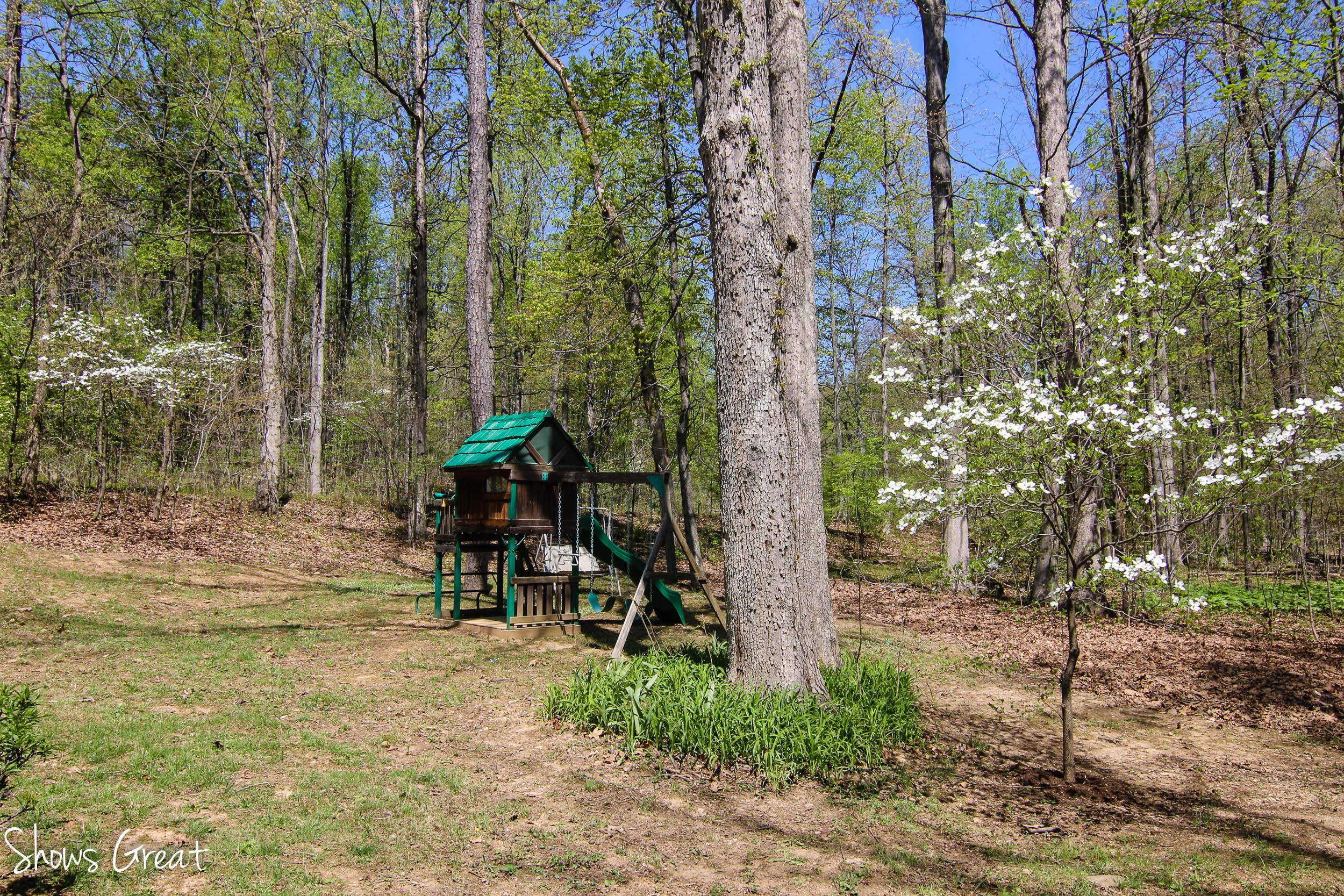 571 Scalybark Drive Blue Ridge, VA 24064 - Photo 36 of 43 Playground area for children