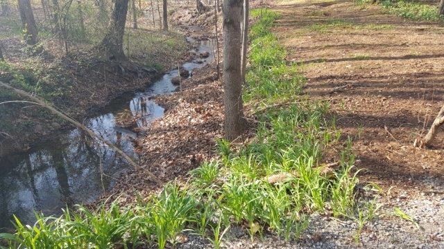 571 Scalybark Drive Blue Ridge, VA 24064 - Photo 40 of 43 Your own babbling brook