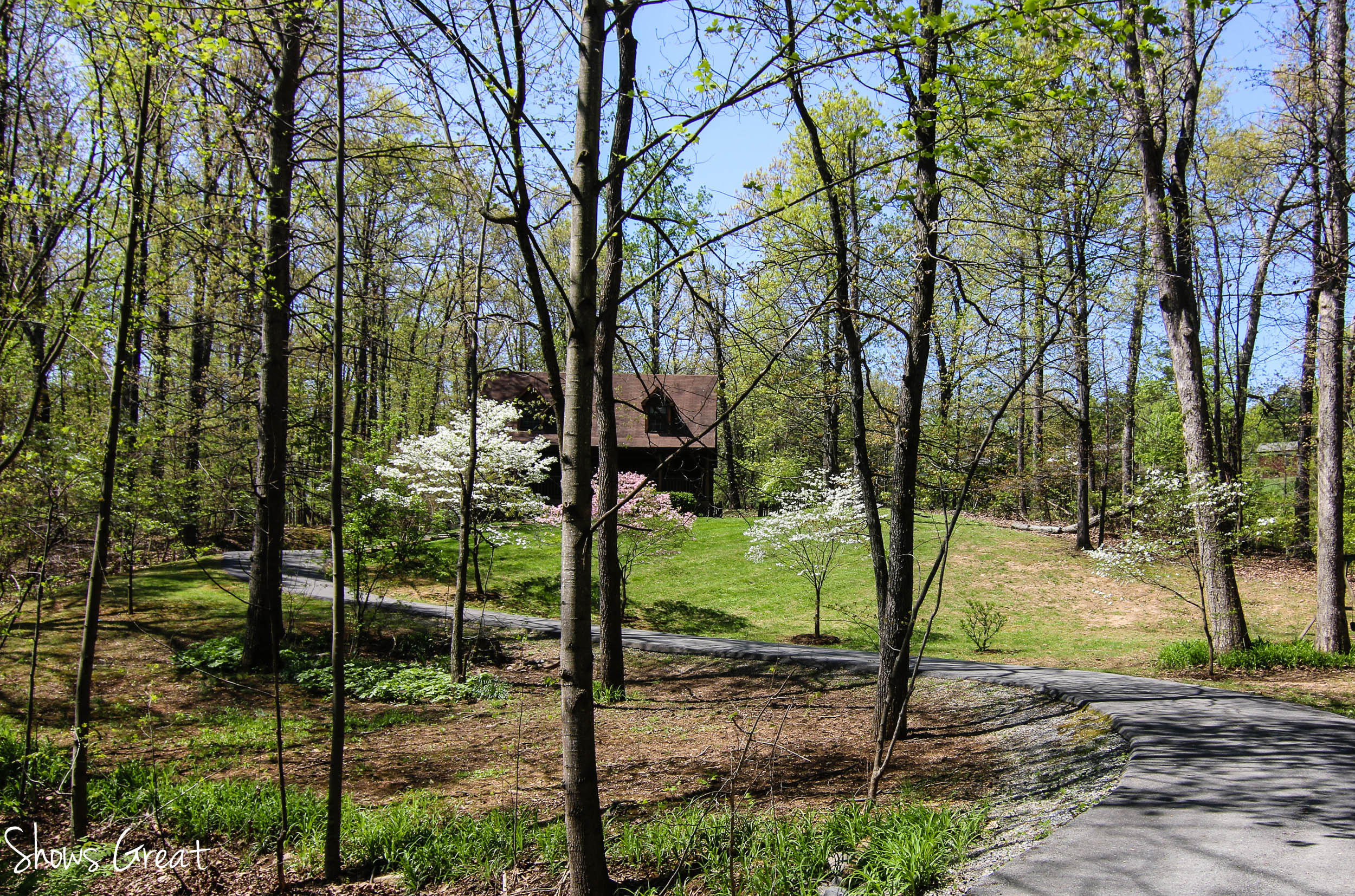 571 Scalybark Drive Blue Ridge, VA 24064 - Photo 41 of 43 Georgeous Country Setting!