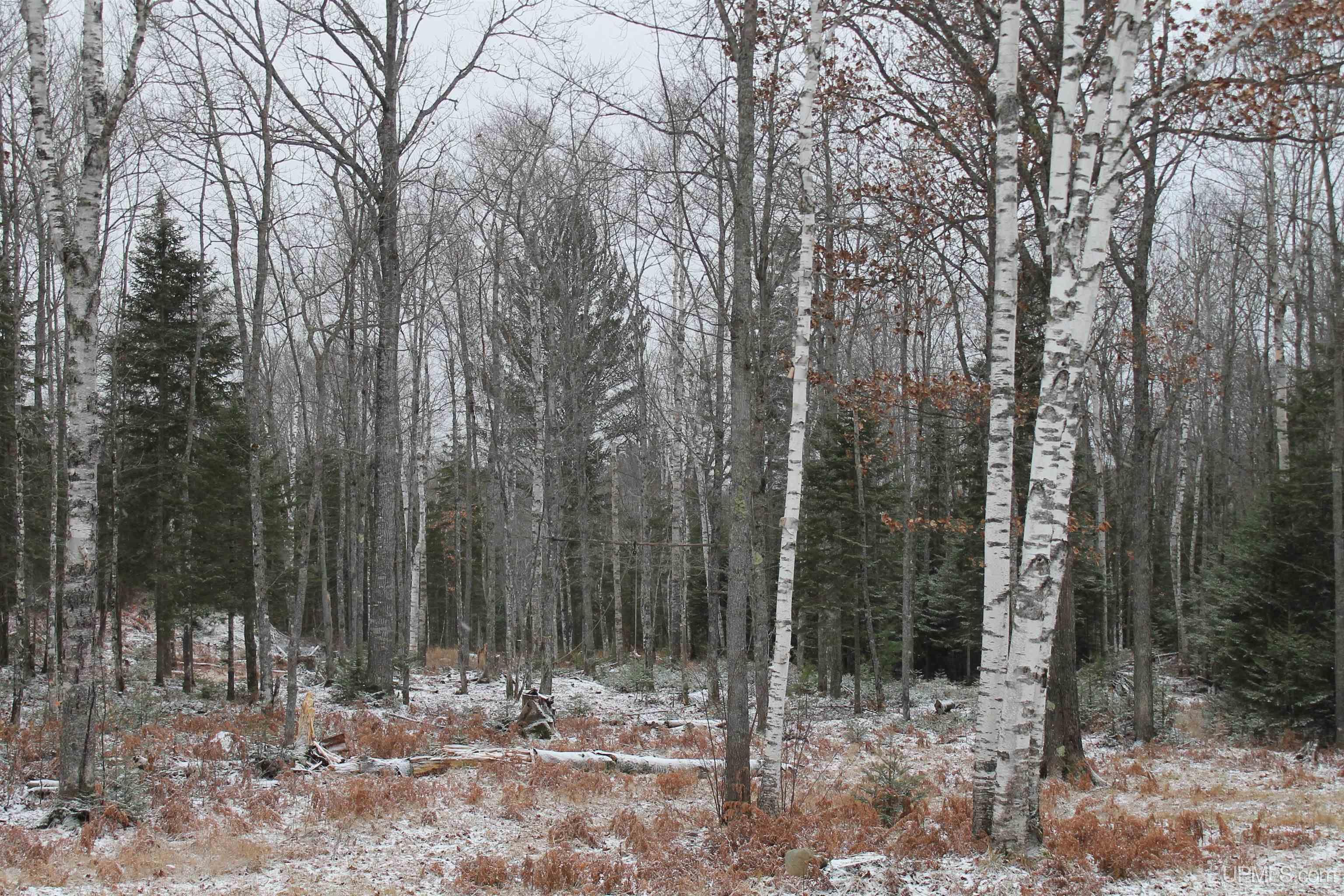 Tbd Wolf Lake Road, Unit 2 Champion, MI 49814 - Photo 32 of 35