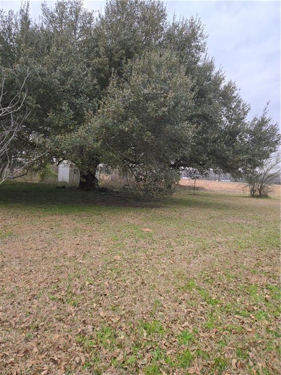 954 Catholic Ln Road Natchitoches, LA 71457 - Photo 8 of 19 Gallery Image 8