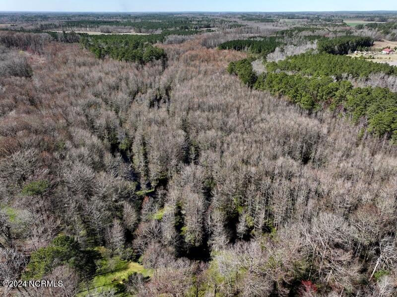 Tbd McGougan Road Lumber Bridge, NC 28357 - Photo 5 of 16 DJI_20240312142348_0126_D