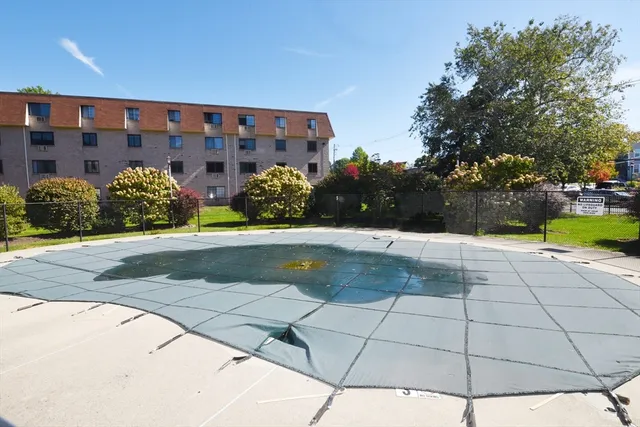 a view of a swimming pool with potted plants