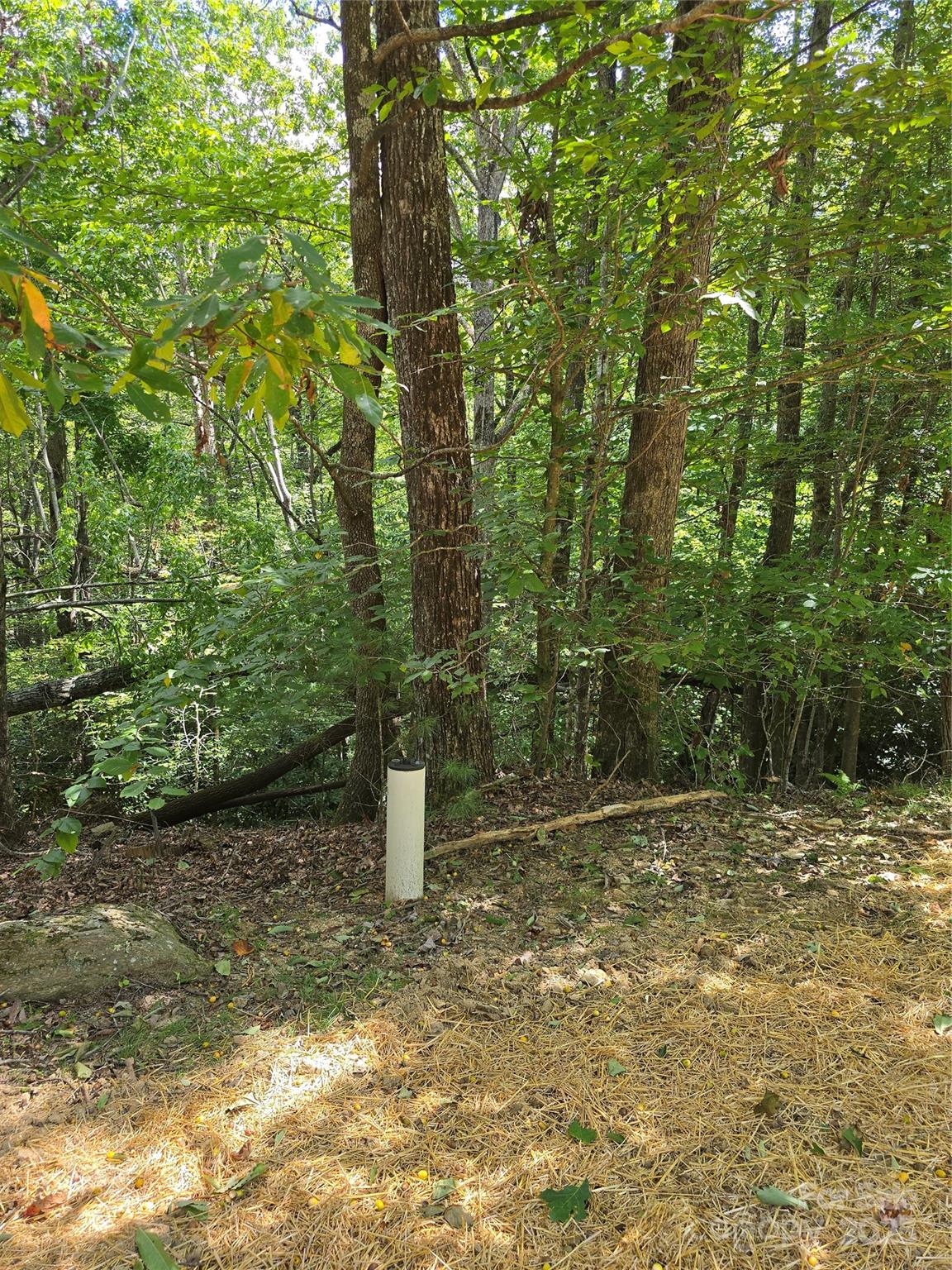 11 Reserve Road Pisgah Forest, NC 28768 - Photo 12 of 38 Gallery Image 12