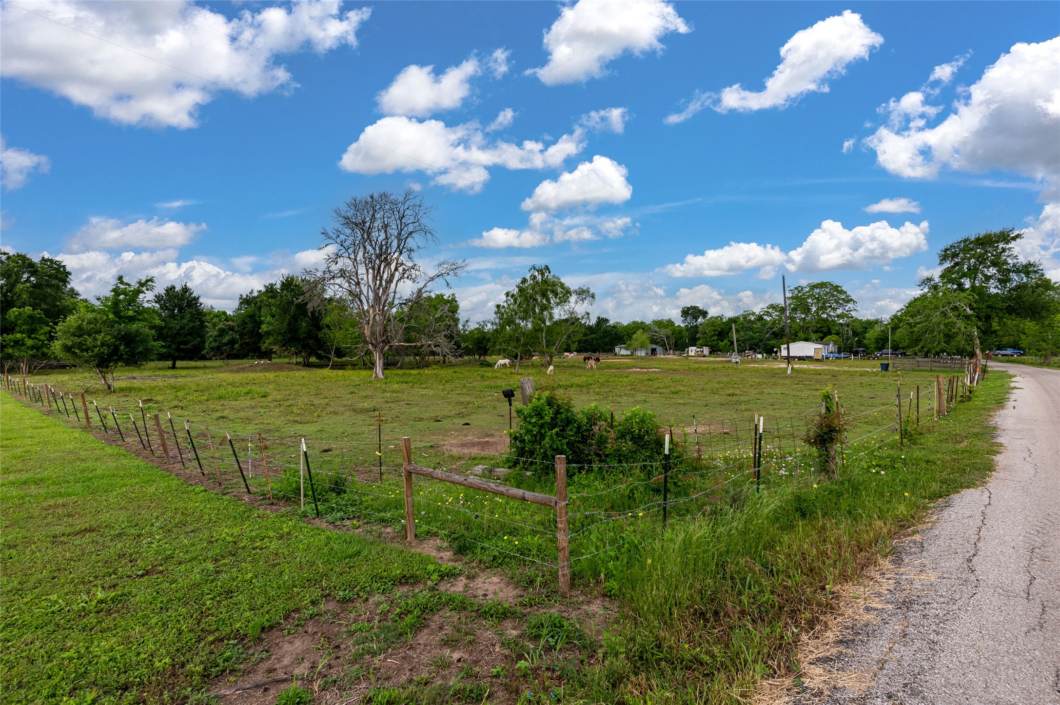 33703 Reynolds Road Fulshear, TX 77441 - Photo 1 of 18