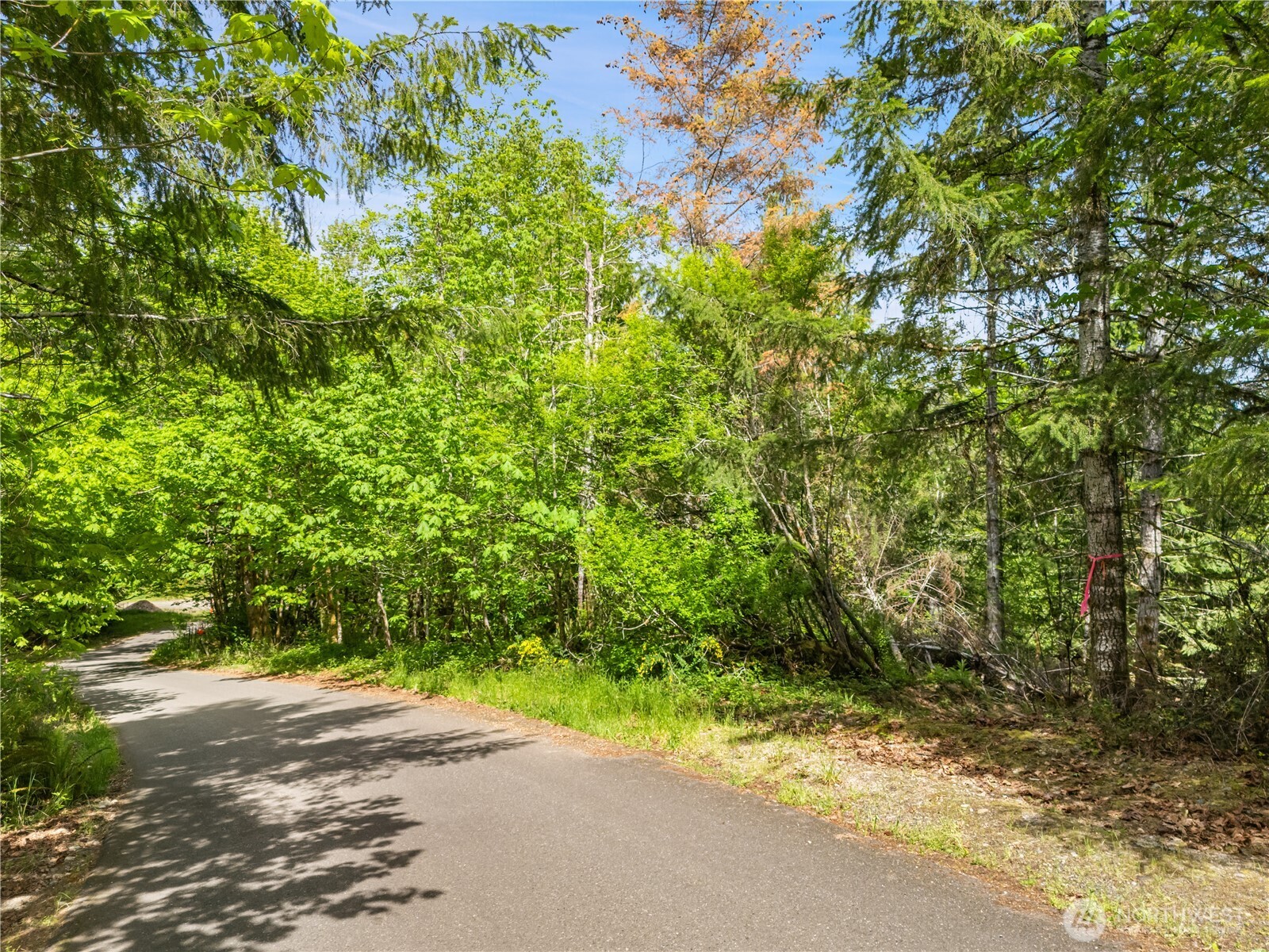 0 East Gerbing View Drive Union, WA 98592 - Photo 3 of 28