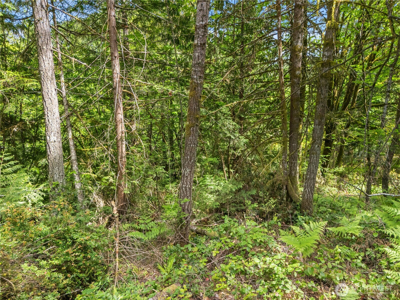 0 East Gerbing View Drive Union, WA 98592 - Photo 4 of 28