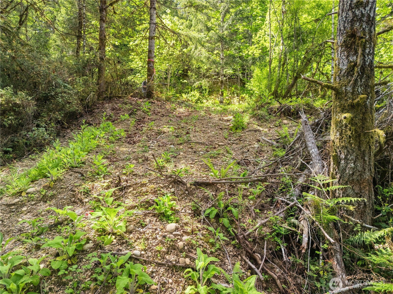 0 East Gerbing View Drive Union, WA 98592 - Photo 5 of 28