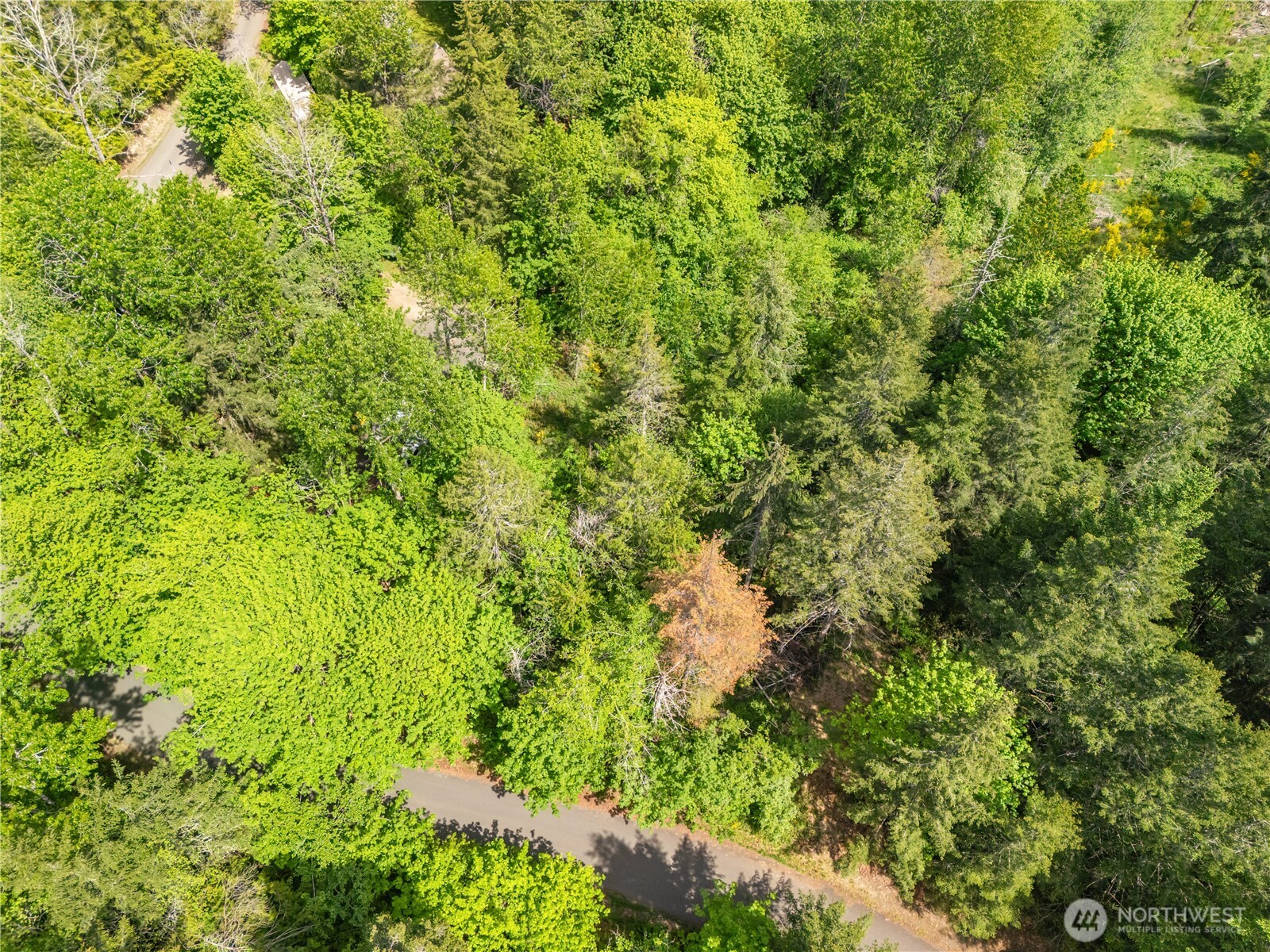 0 East Gerbing View Drive Union, WA 98592 - Photo 6 of 28