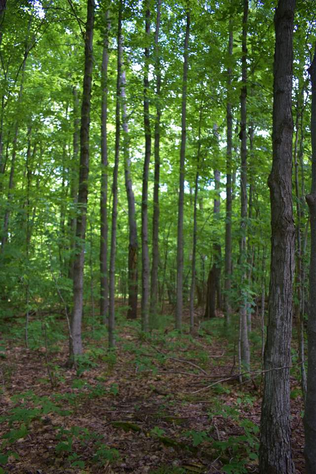2664 Gonder Road Interlochen, MI 49643 - Photo 41 of 45 1839453-40.JPG