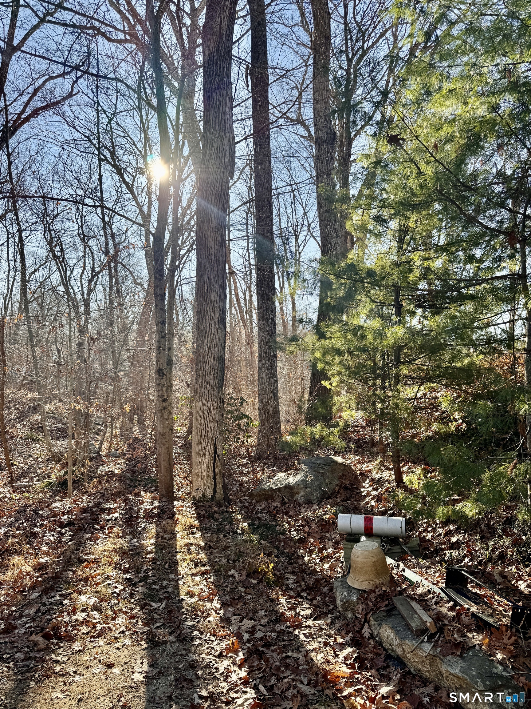 Ryan Terrace Lebanon, CT 06249 - Photo 2 of 3 a view of a backyard of the house
