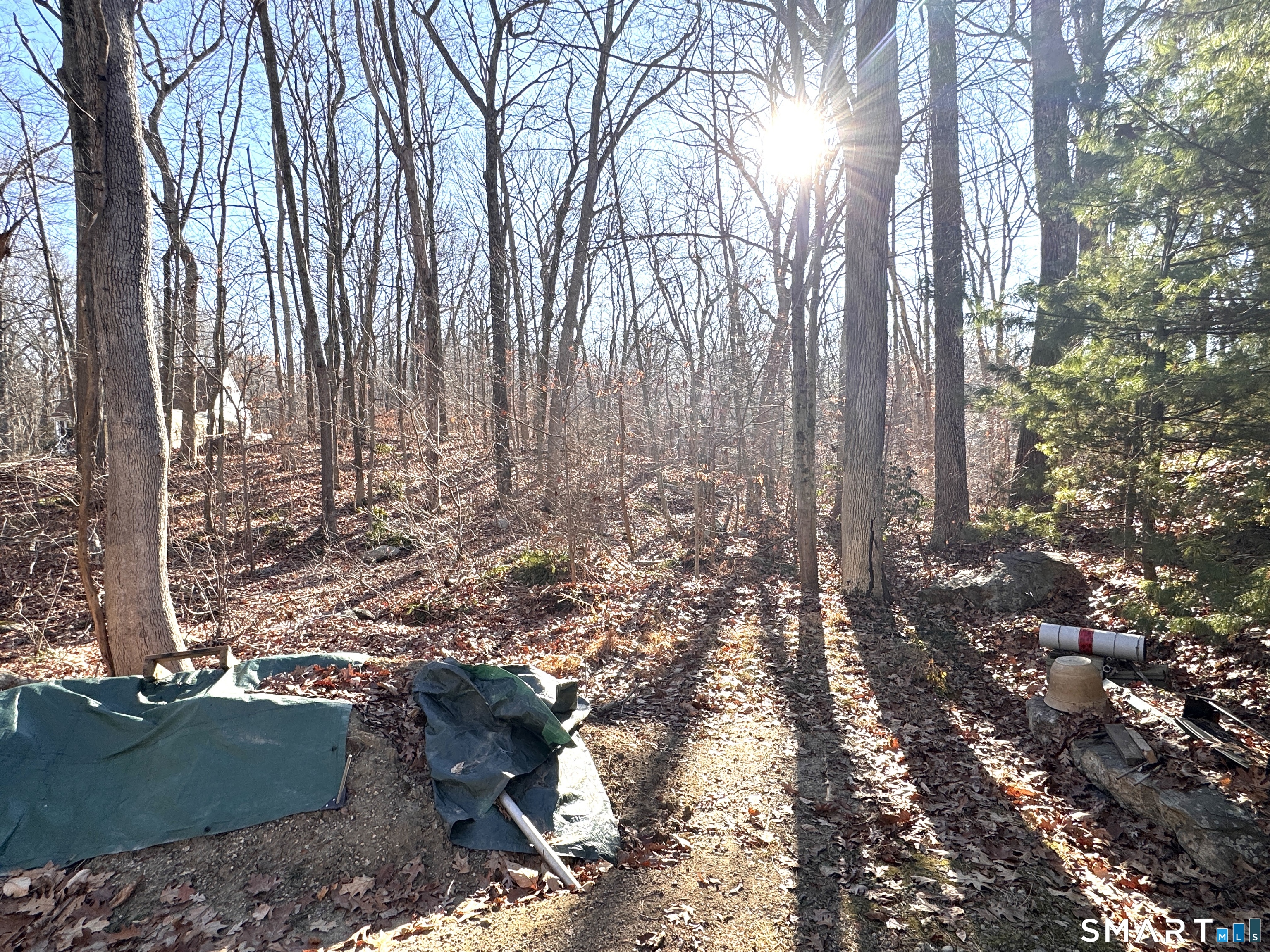Ryan Terrace Lebanon, CT 06249 - Photo 3 of 3 a view of a yard with large trees