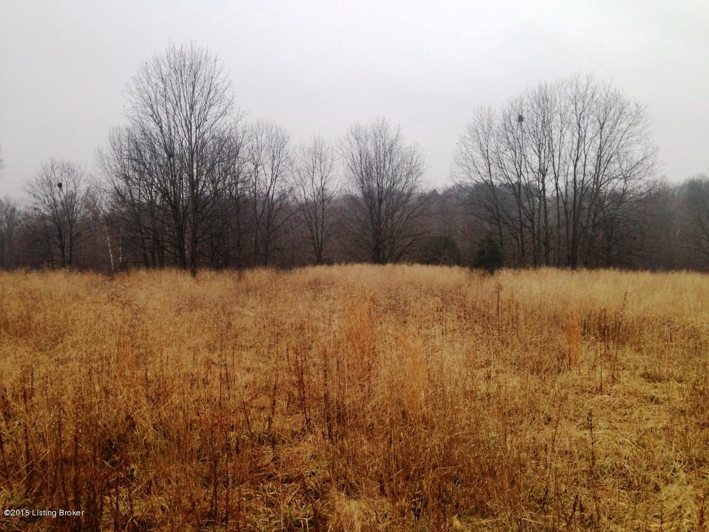 0 Russell Cemetery Road Greensburg, KY 42743 - Photo 5 of 7 5 (Medium)
