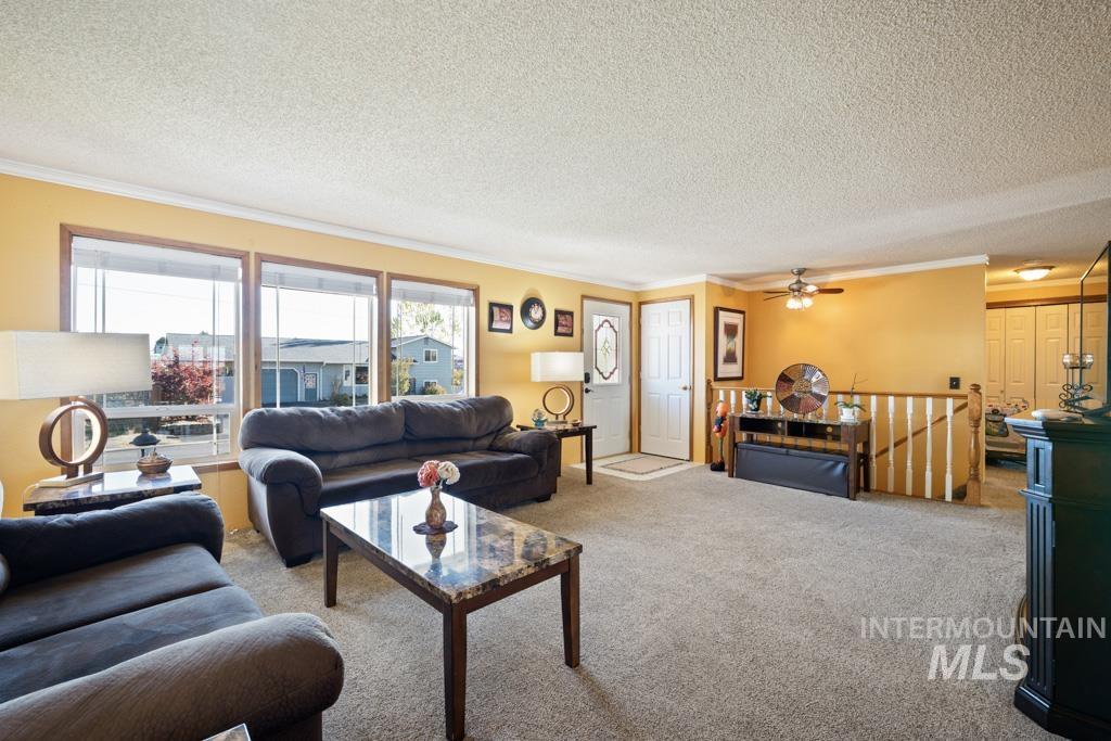 3828 15th Street Lewiston, ID 83501 - Photo 17 of 34 Living area with crown molding, carpet, and a textured ceiling