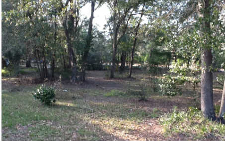 85366 Lina Road Fernandina Beach, FL 32034 - Photo 1 of 7 Gallery Image 1