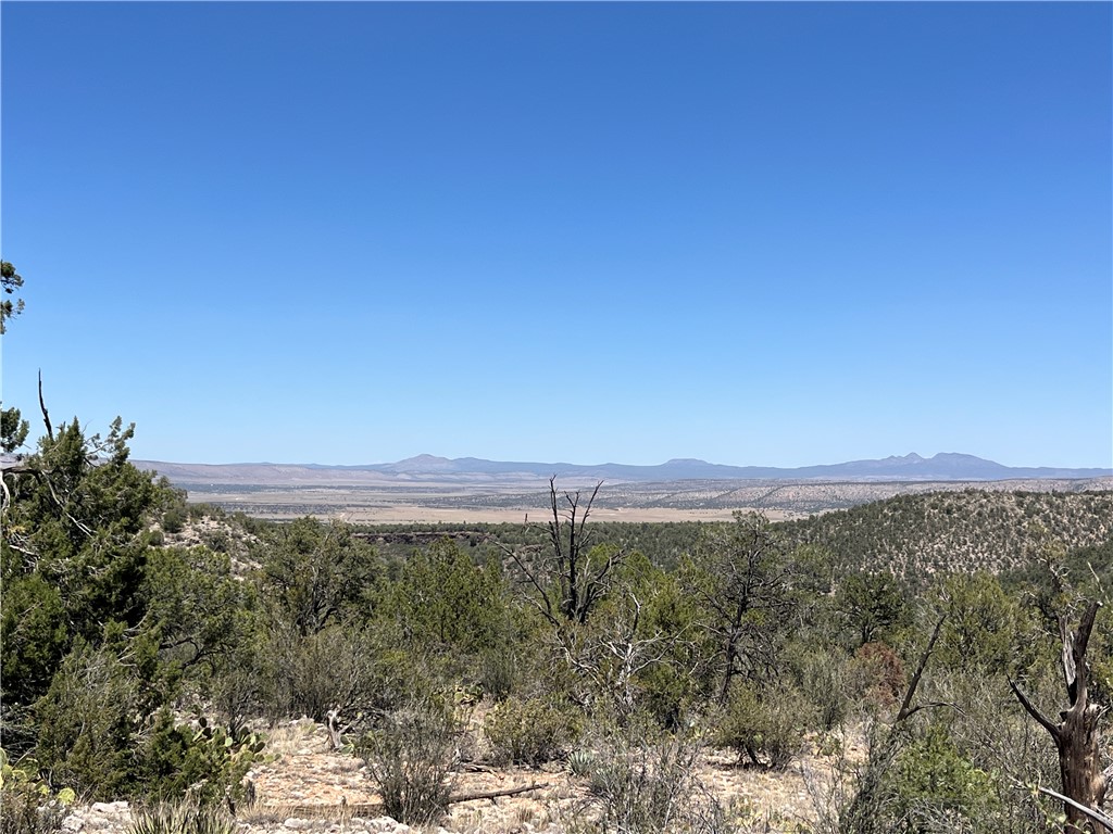46675 North Edge Ridge Road Seligman, AZ 86337 - Photo 2 of 28