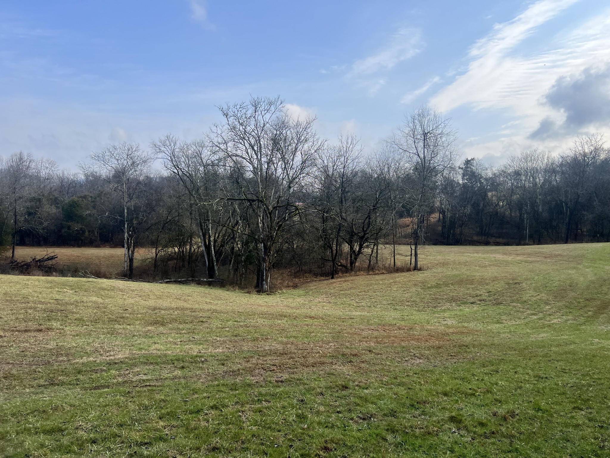 770 Abernathy Road Lynnville, TN 38472 - Photo 16 of 20 Gallery Image 16