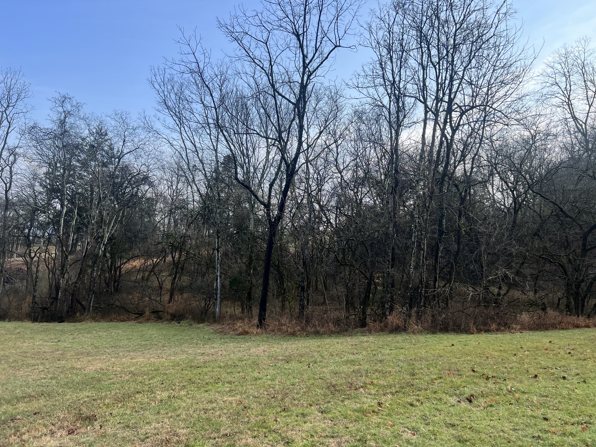 770 Abernathy Road Lynnville, TN 38472 - Photo 17 of 20 Gallery Image 17