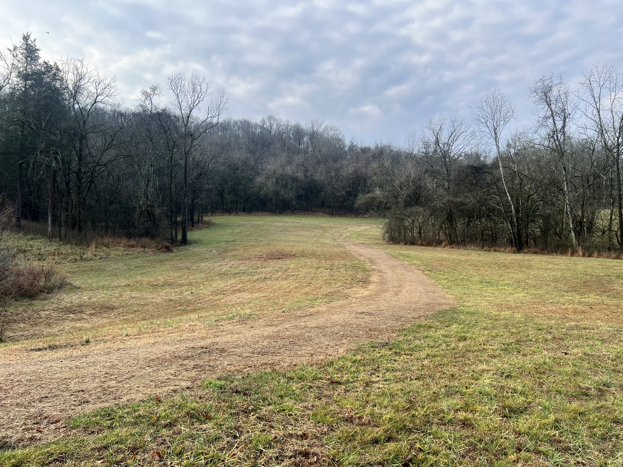770 Abernathy Road Lynnville, TN 38472 - Photo 6 of 20 Gallery Image 6