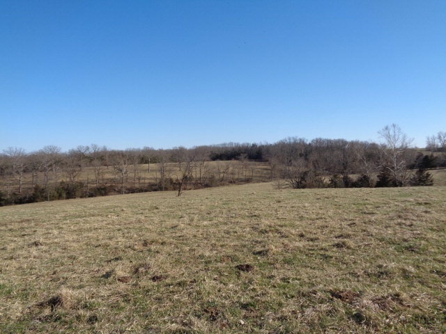 Whippoorwill Road California, MO 65018 - Photo 9 of 10