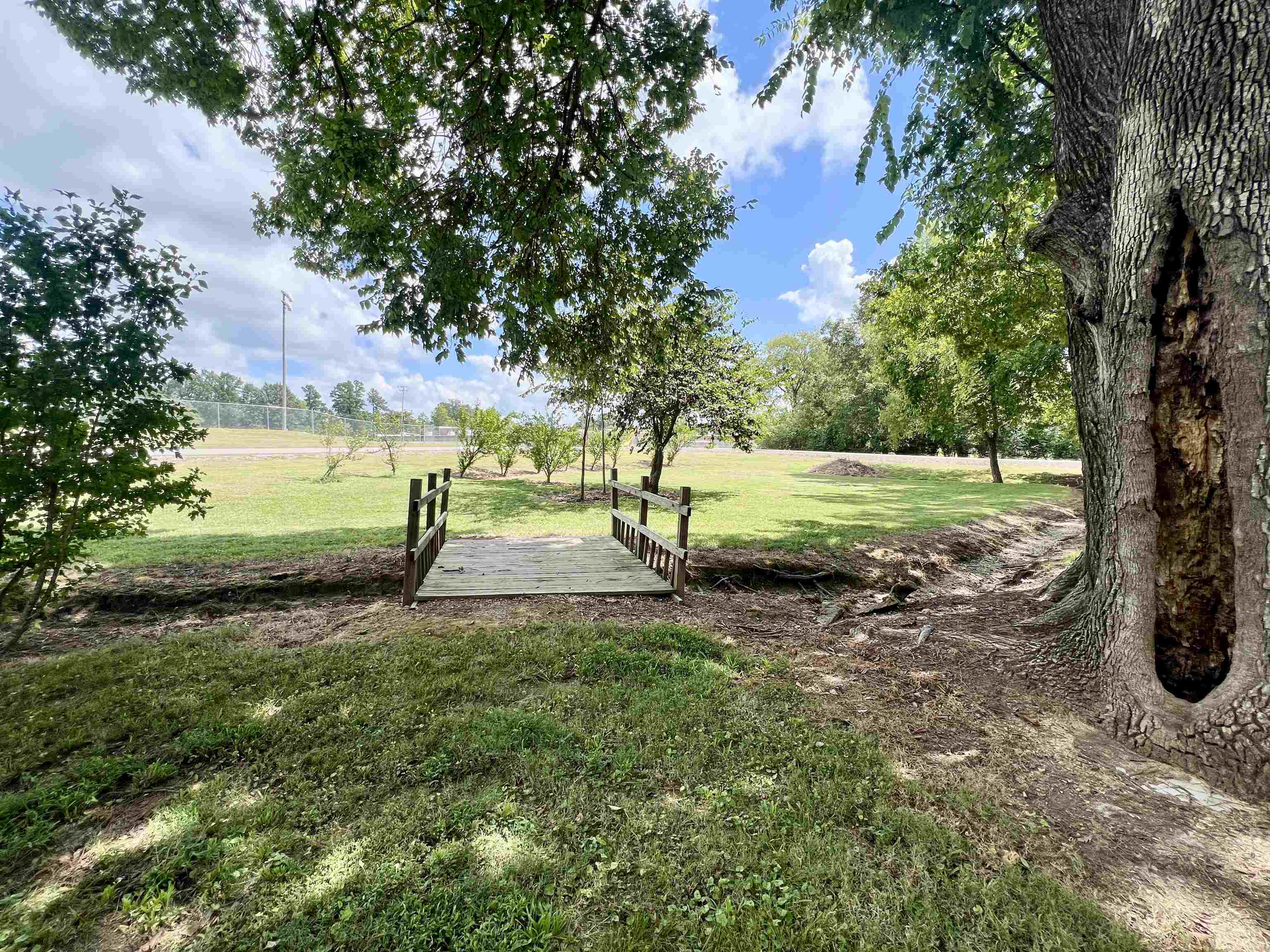 230 South Oak Street Adamsville, TN 38310 - Photo 18 of 29