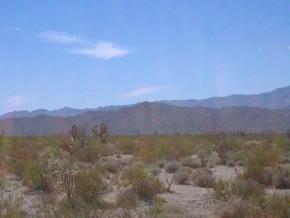 Angel Road Yucca, AZ 86438 - Photo 1 of 3 Primary Photo