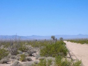 Angel Road Yucca, AZ 86438 - Photo 2 of 3 Additional Photo