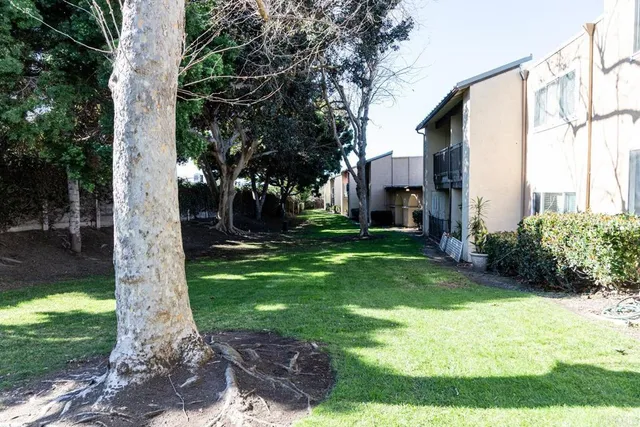 a backyard of a house with plants and large tree