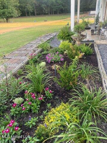 697 McClyde Road Como, MS 38619 - Photo 27 of 33 IMG_5661