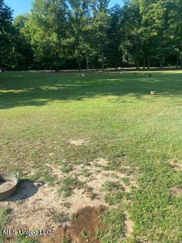 697 McClyde Road Como, MS 38619 - Photo 29 of 33 IMG_5664
