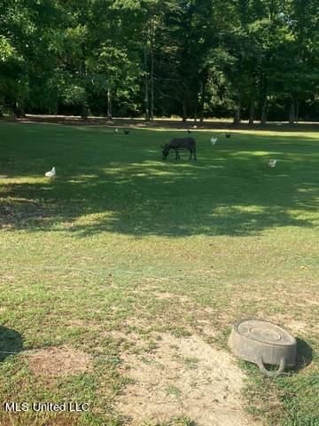 697 McClyde Road Como, MS 38619 - Photo 30 of 33 IMG_5665