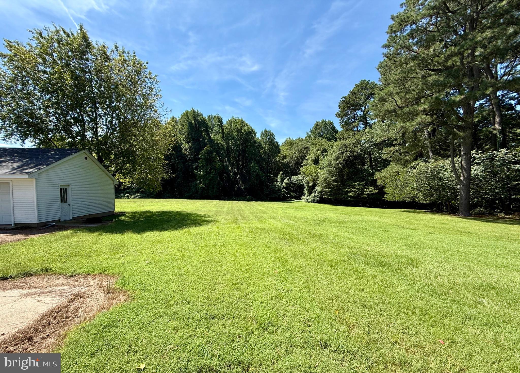 1430 Sandbox Road Harrington, DE 19952 - Photo 32 of 45 Morning view out the back door!