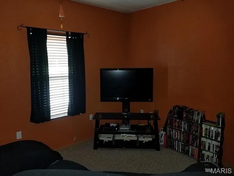 508 East Fifth Street Belle, MO 65013 - Photo 20 of 37