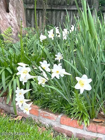 $359,000 | 122 Lee Street, New Iberia, LA 70560