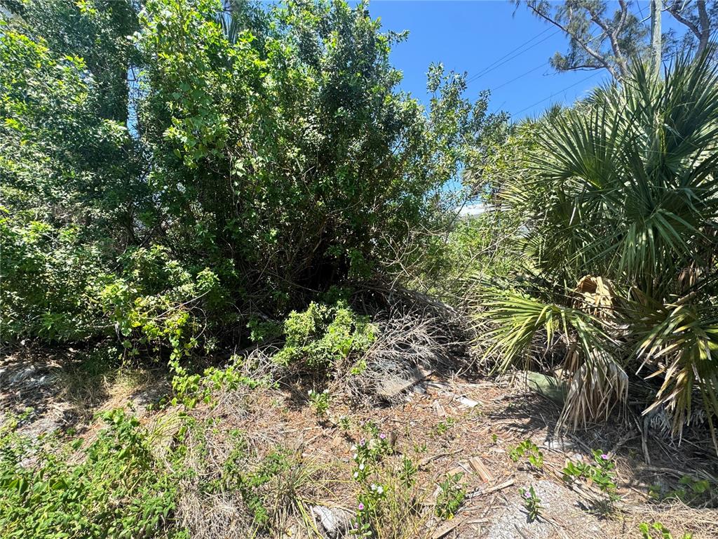 8992 Seagrape Lane Boca Grande, FL 33921 - Photo 13 of 28 a view of a garden