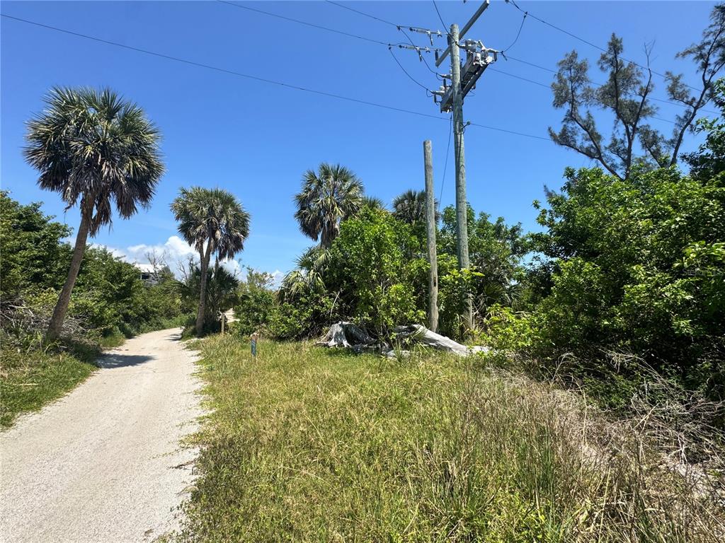 8992 Seagrape Lane Boca Grande, FL 33921 - Photo 15 of 28 a view of a yard with palm tree