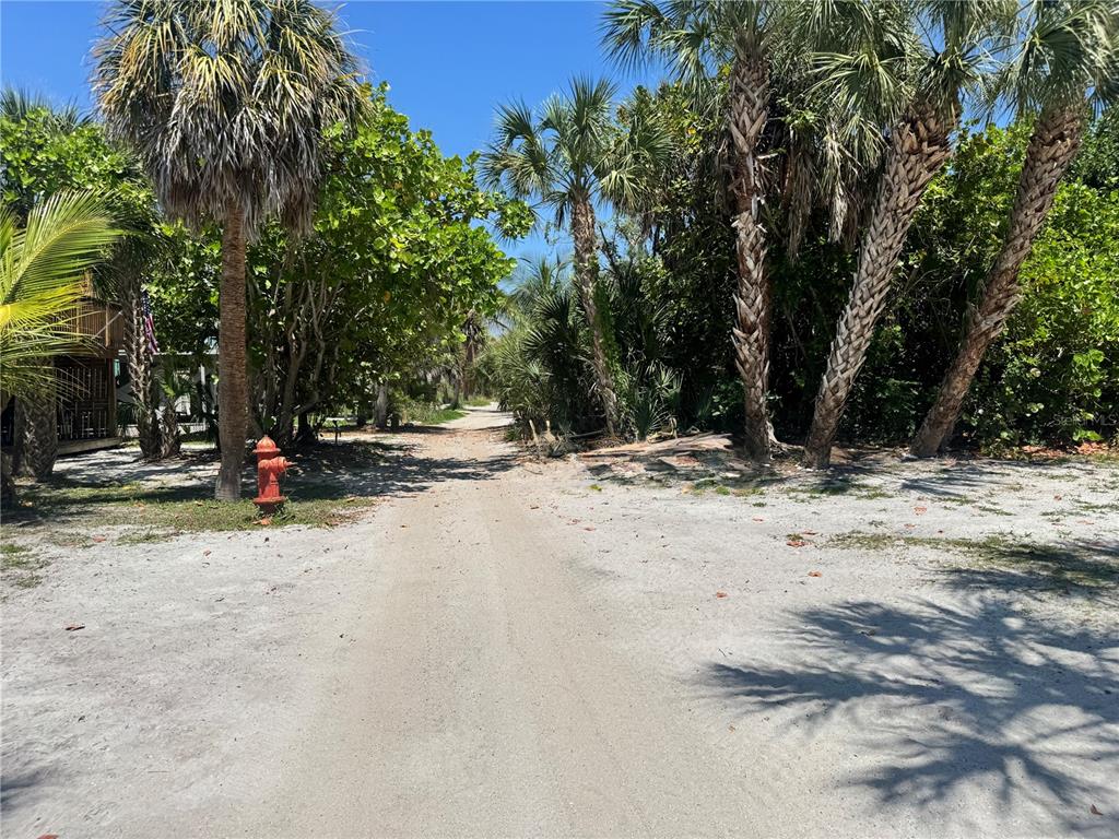 8992 Seagrape Lane Boca Grande, FL 33921 - Photo 16 of 28 a view of road and trees