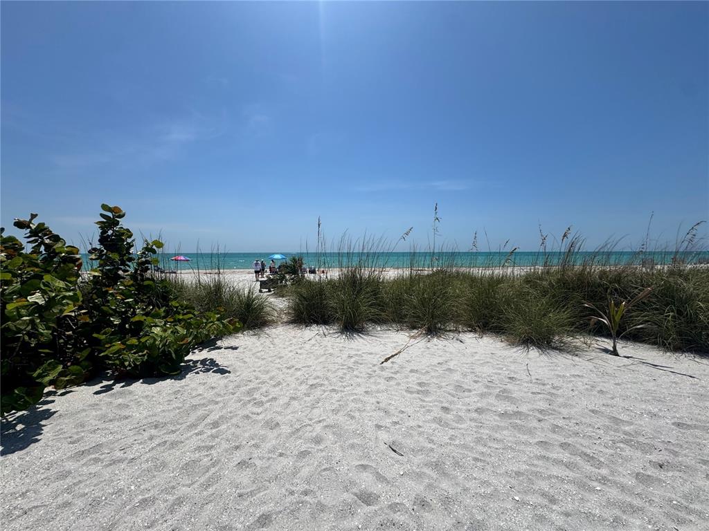 8992 Seagrape Lane Boca Grande, FL 33921 - Photo 18 of 28 a view of outdoor space and yard