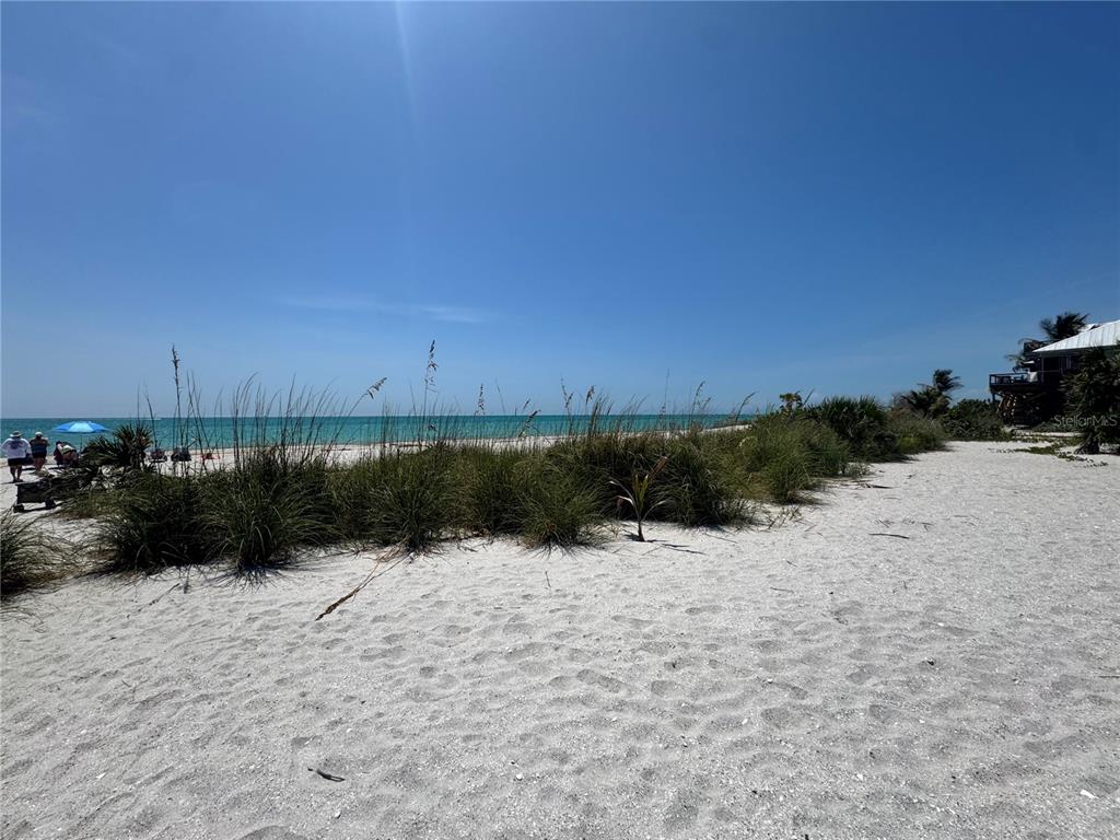 8992 Seagrape Lane Boca Grande, FL 33921 - Photo 20 of 28 a view of outdoor space and yard
