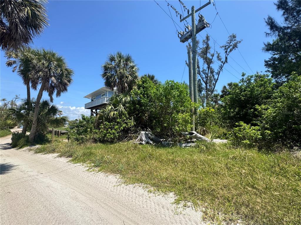 8992 Seagrape Lane Boca Grande, FL 33921 - Photo 5 of 28 a view of a yard with a tree